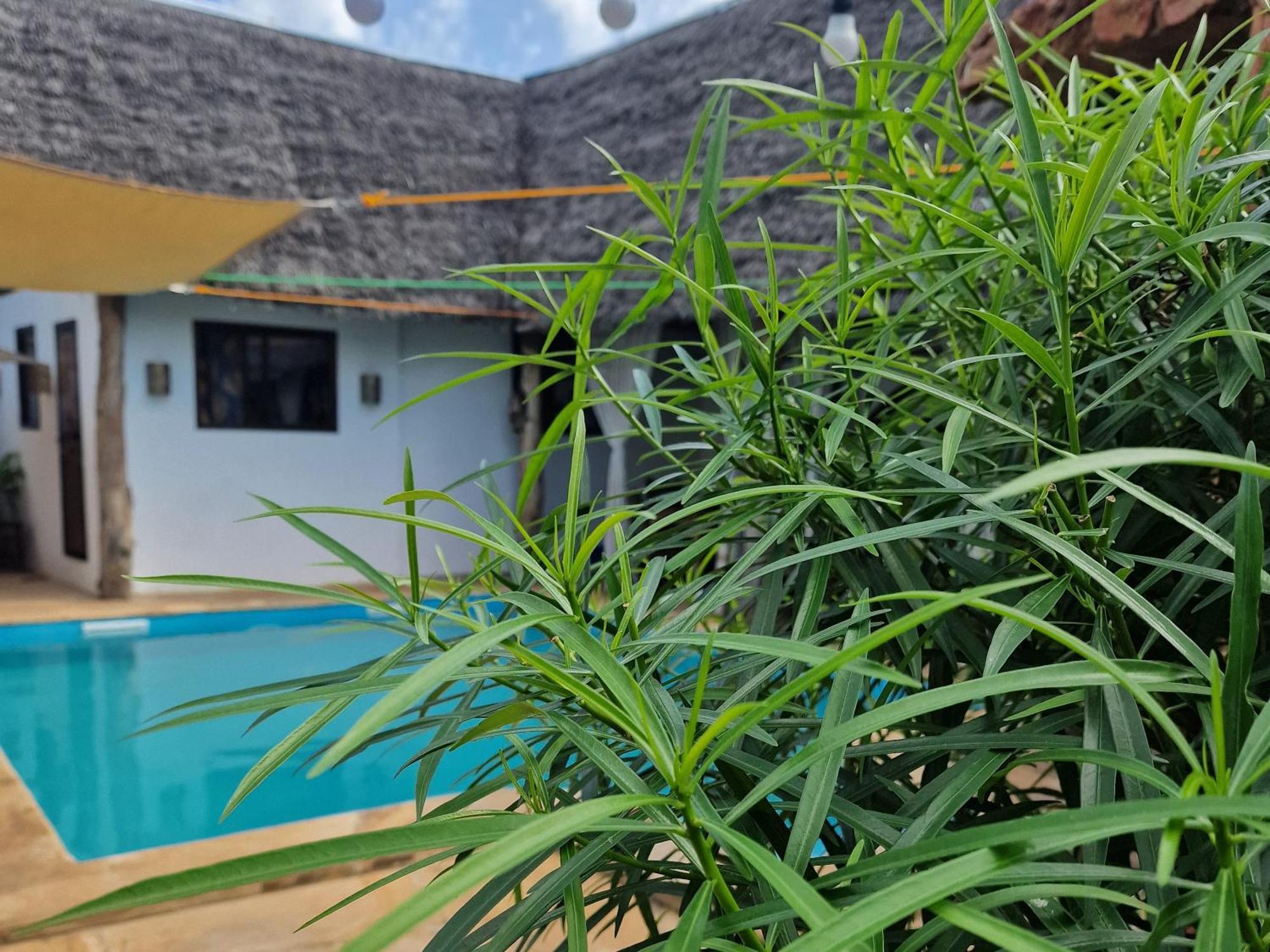 Villa Kumi Nungwi Exterior foto